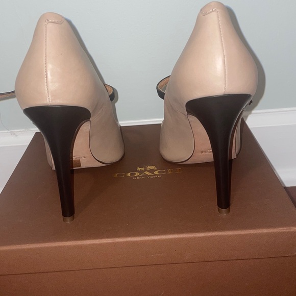 Coach Tango - Picture 5 of 5